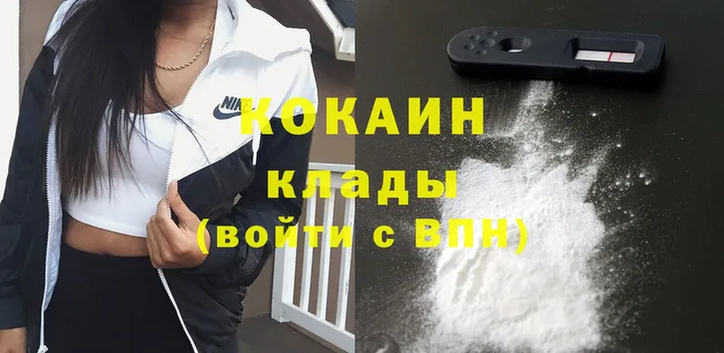 наркота  Алексин  Cocaine Fish Scale 