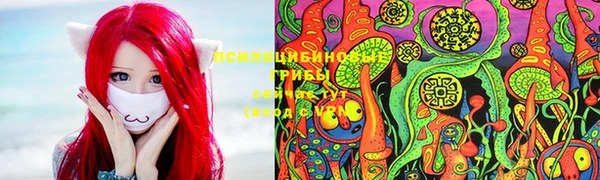 винт Гусь-Хрустальный